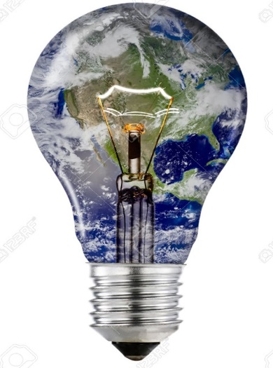 Bulb