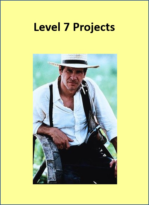 level seven project