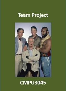 Team Project